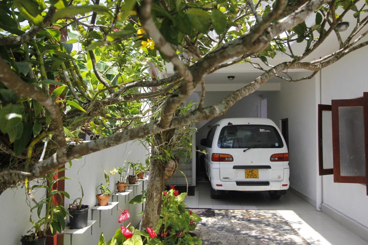Bentota Home Stay Kültér fotó
