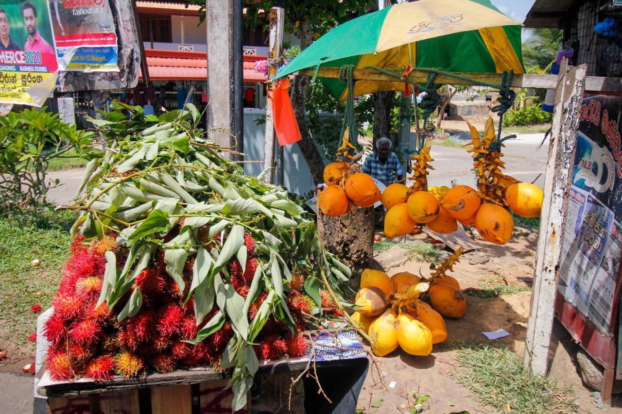Bentota Home Stay Kültér fotó